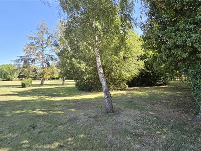 Picture 24